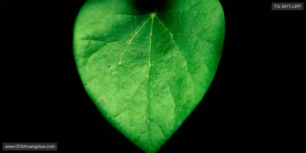 从训练场到直播间,你的热爱全程在线!📱